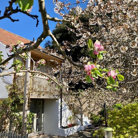 Westbury Cross House Bed & Breakfast Eksteriør billede