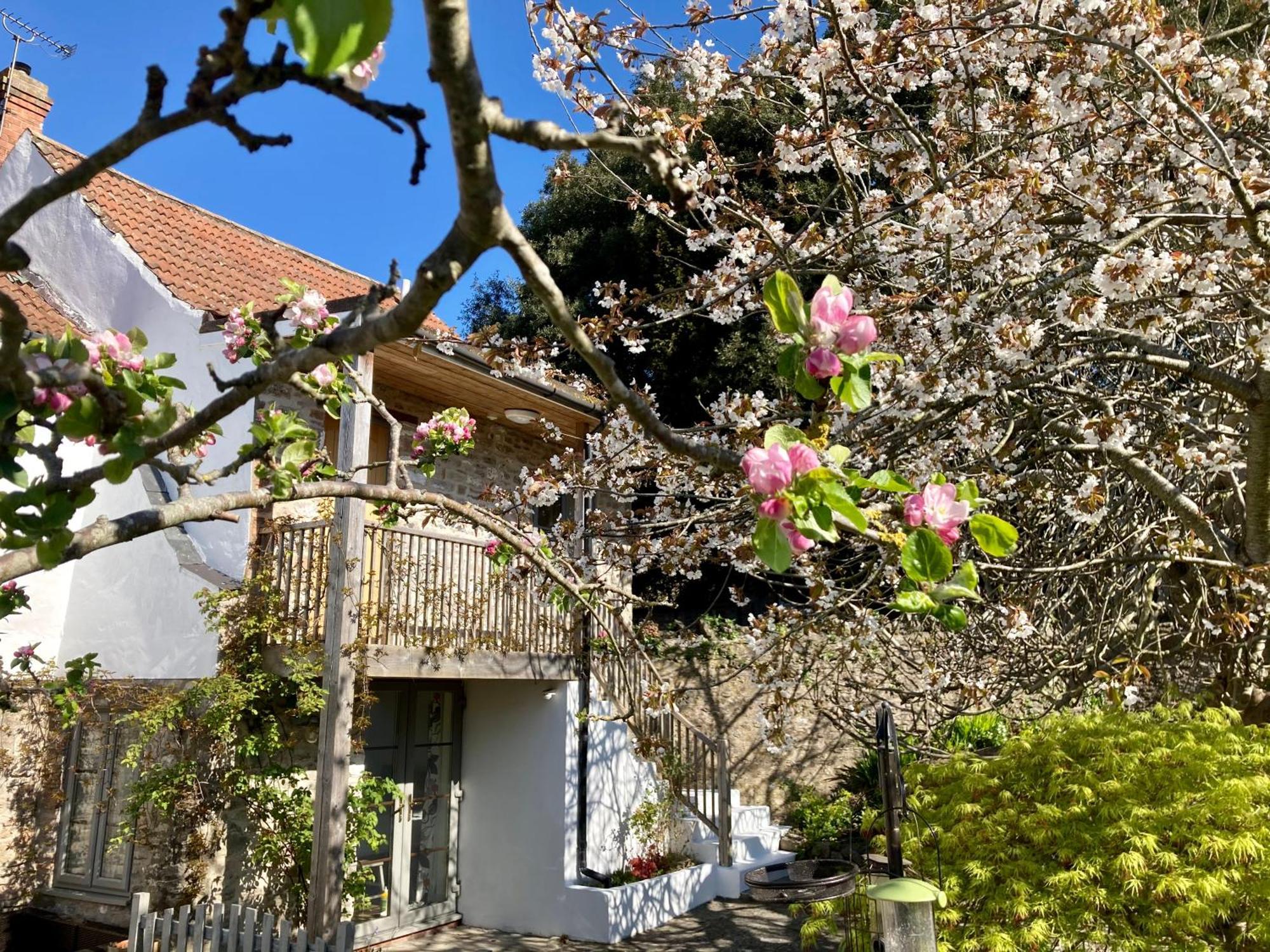 Westbury Cross House Bed & Breakfast Eksteriør billede